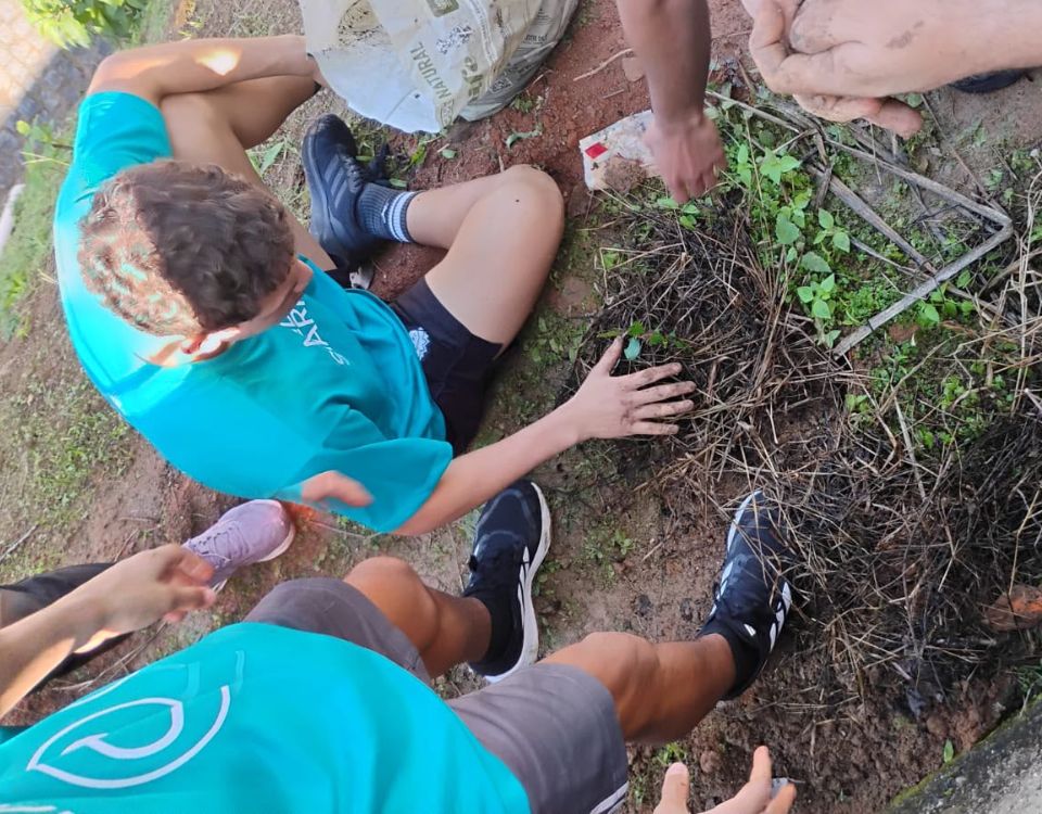 Missão Solidária Marista 2026: Marista Brasil mobiliza mais de 1,5 mil estudantes em ações solidárias e de voluntariado por todo país