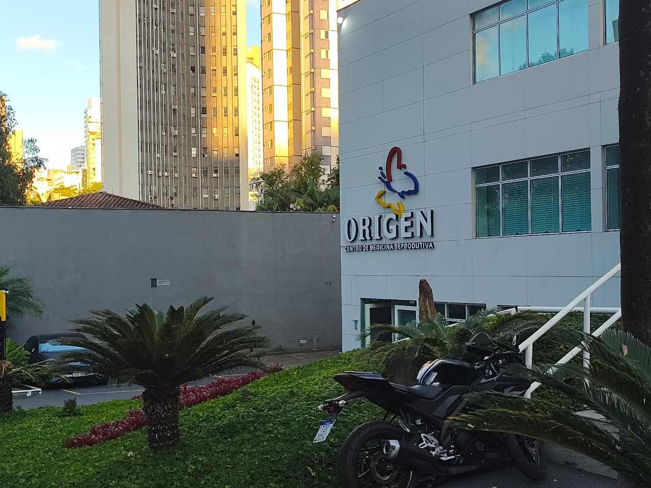 Anabolizantes provocam infertilidade desde o início do uso, e especialista alerta para os riscos para a saúde