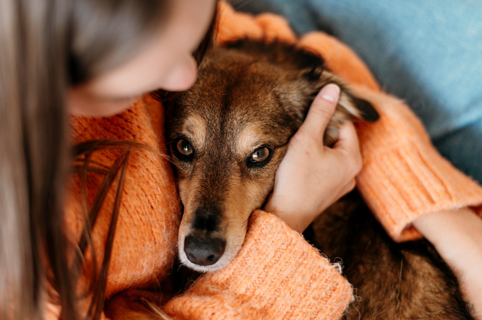 Shopping Del Rey terá programação especial para pets e seus tutores neste sábado (29)